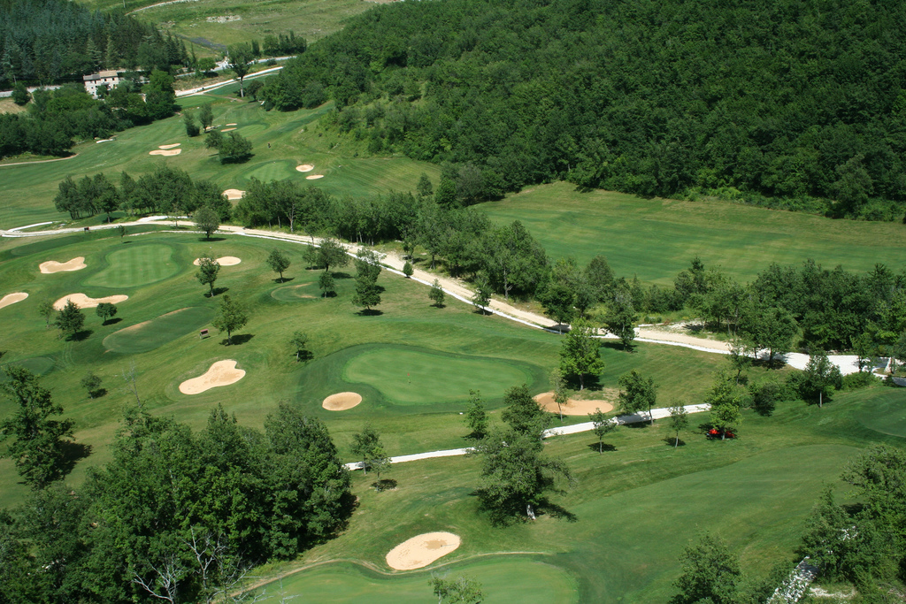 Golf fairway stand-in for HawksHead Links